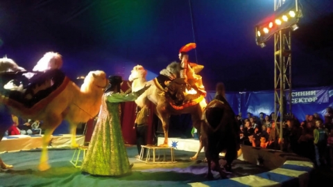 Цирковое представление «Графа Орлова»