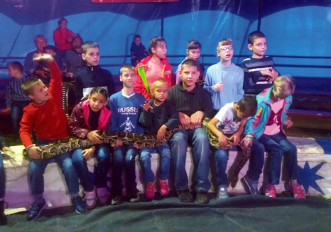 Цирковое представление «Графа Орлова»